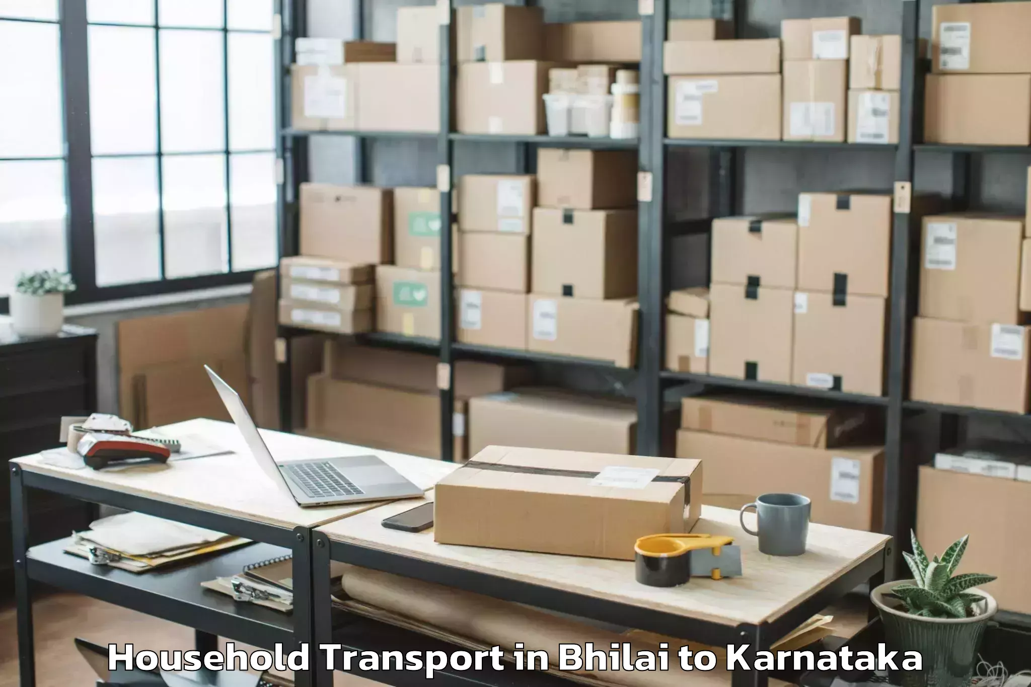 Leading Bhilai to Kodigenahalli Household Transport Provider